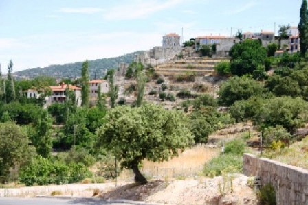 Zur Fotogalerie "Petri"