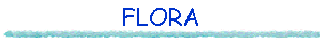 FLORA