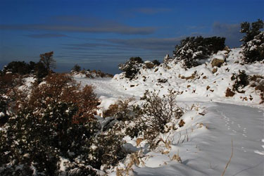 Schnee auf dem Lepetimnos