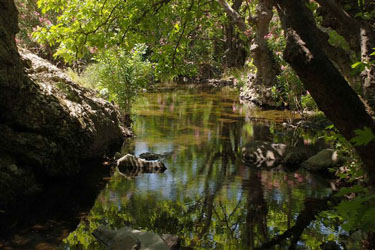 Das bezaubernde Flussgebiet Krineloe