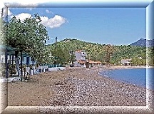 Zur Bildergalerie "Tarti"