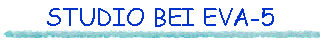 STUDIO BEI EVA-5